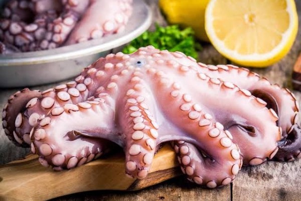 cara memasak gurita biar empuk