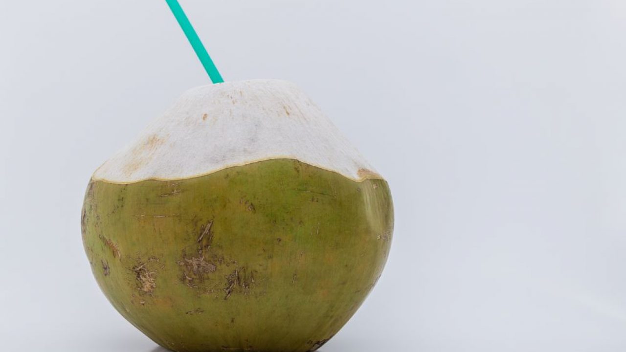 Kelapa ijo