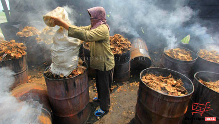 peluang bisnis sabut kelapa