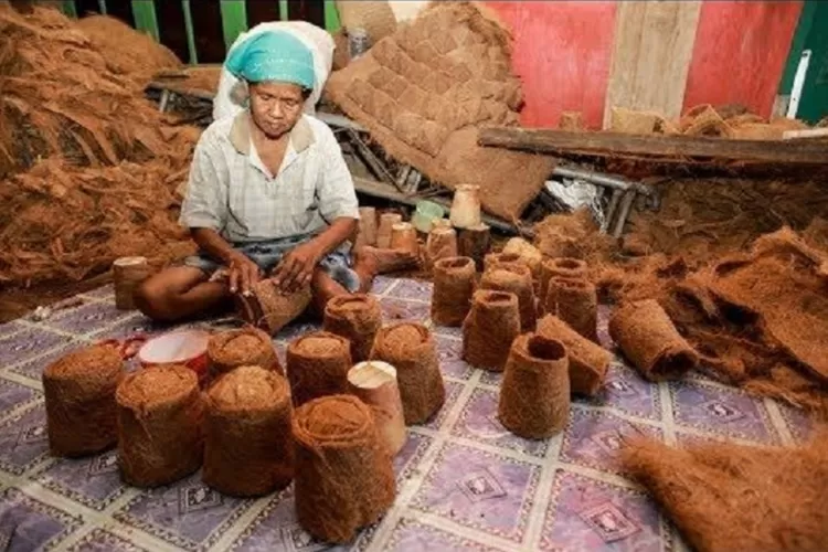 peluang bisnis sabut kelapa