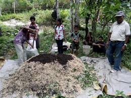 Langkah-Langkah Memulai Bisnis Kompos dari Batang Pisang