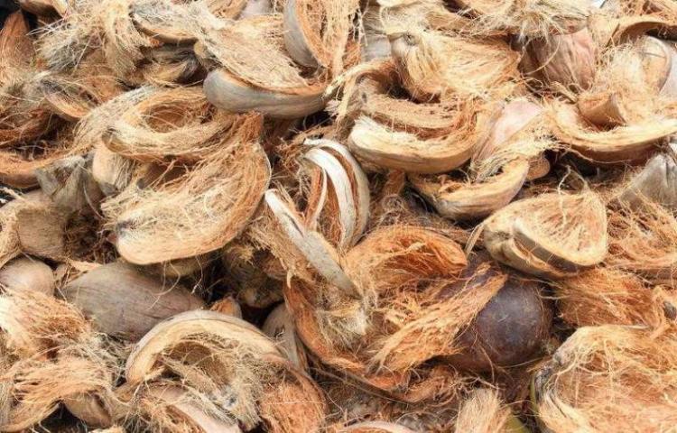Seni berkelanjutan melalui sabut kelapa lokal