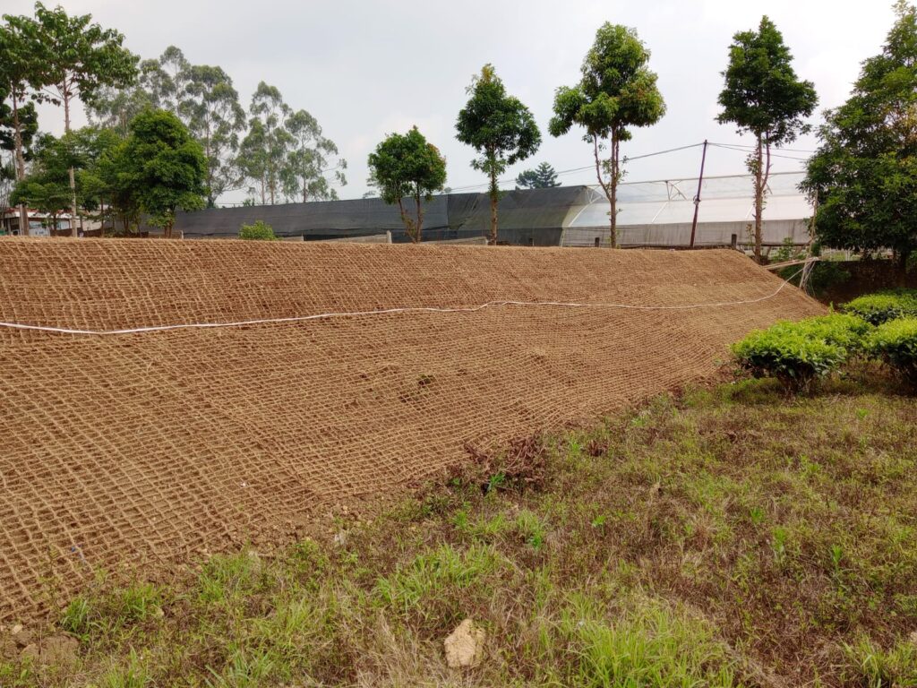 Peningkatan Daya Saing Cocomesh di Pasar Dunia