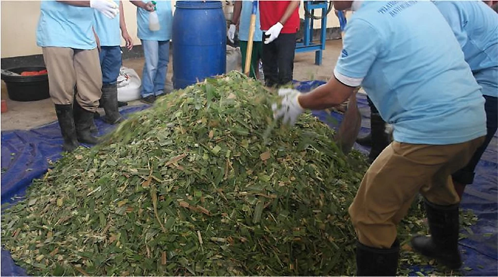strategi penyimpanan rumput kering
