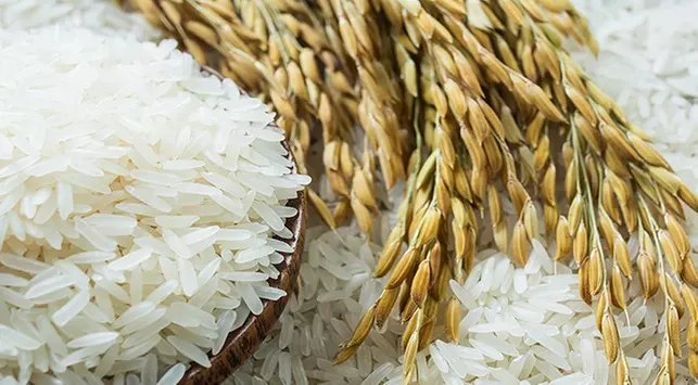 cara meningkatkan kualitas beras