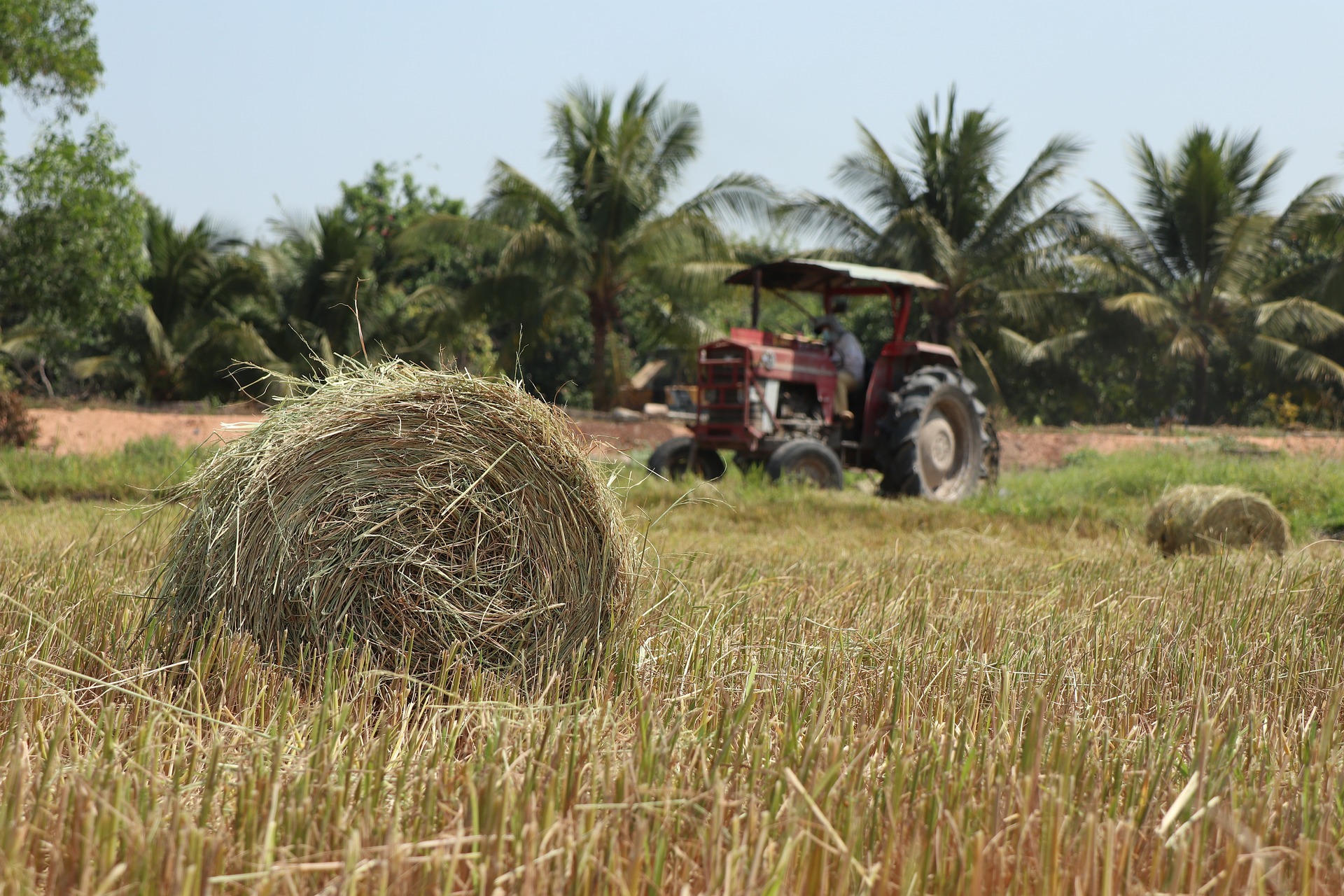 pembajakan lahan sawah padi