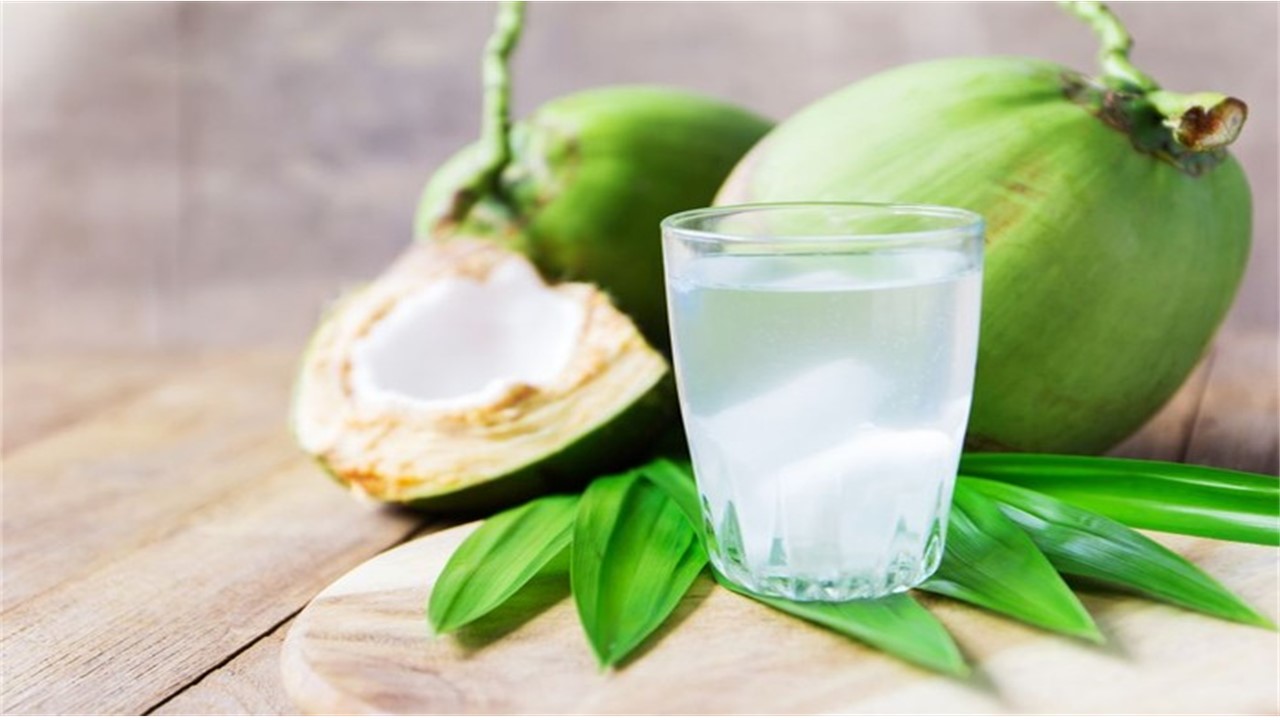jenis kelapa untuk obat