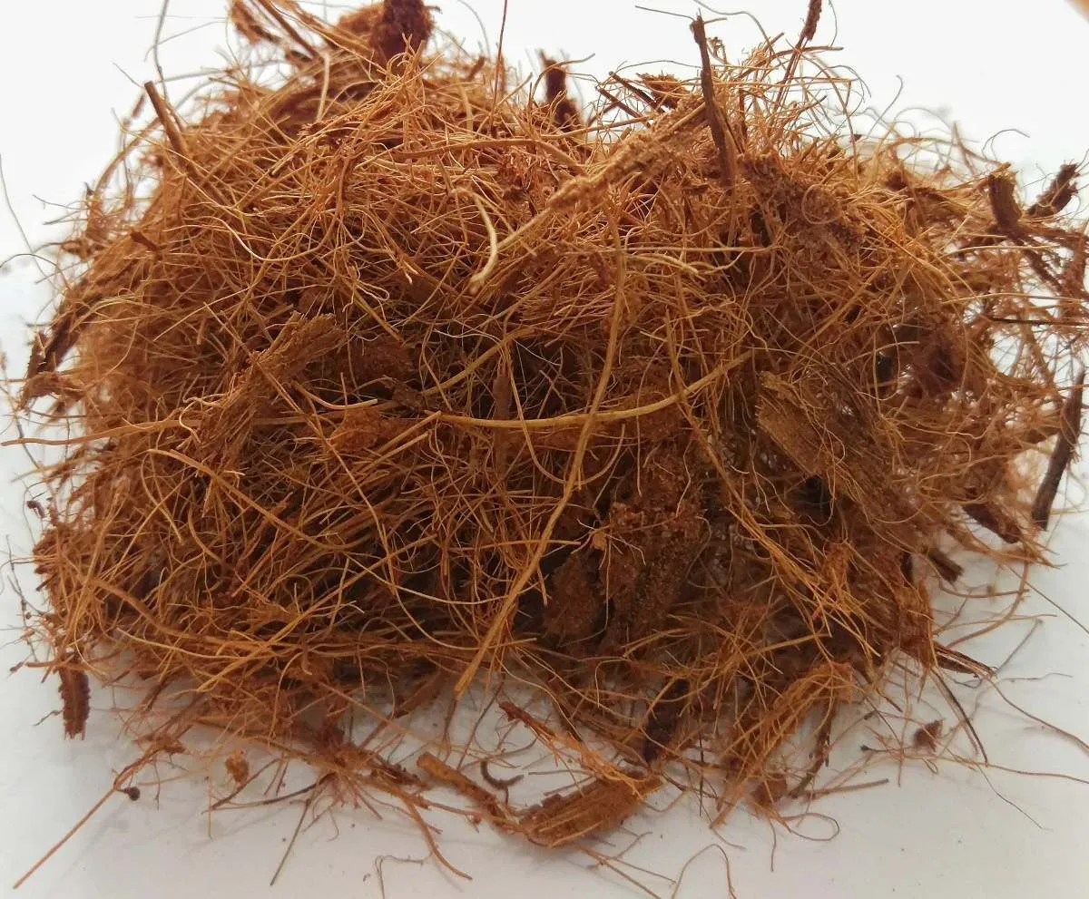 manfaat sabut kelapa untuk kesehatan