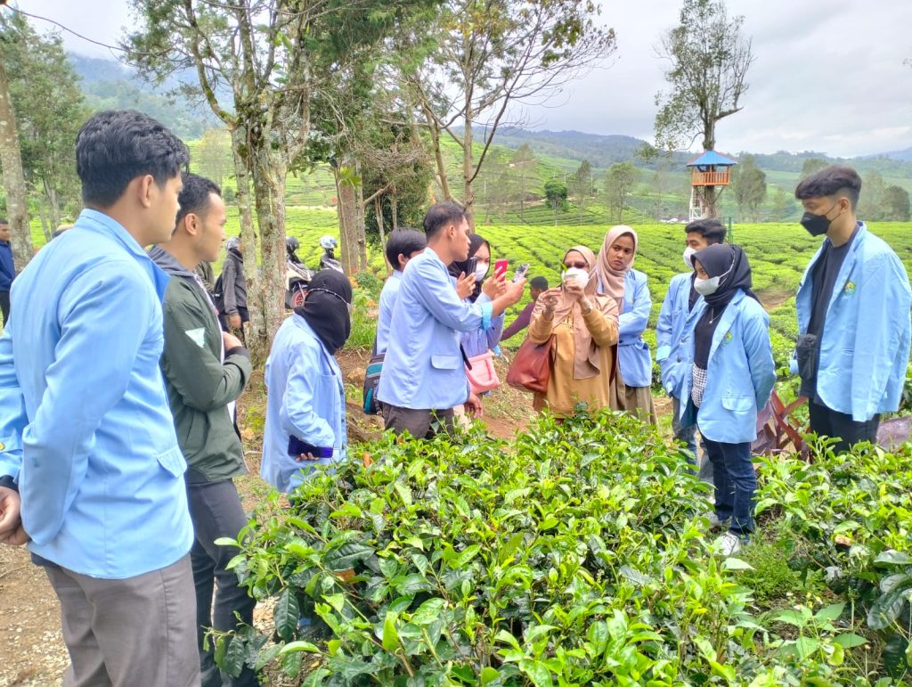 kunjungan industri di sektor pertanian