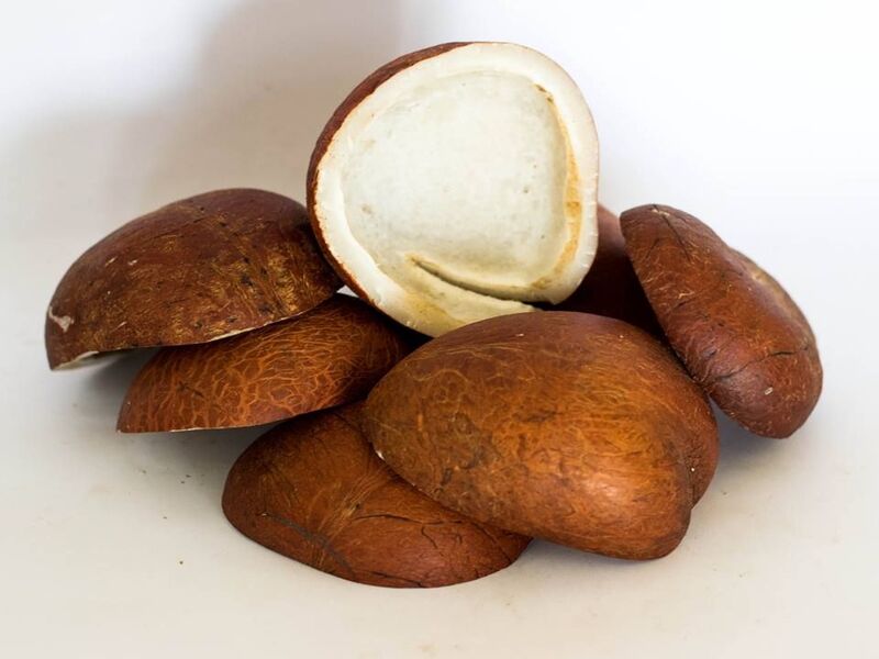 kopra kering