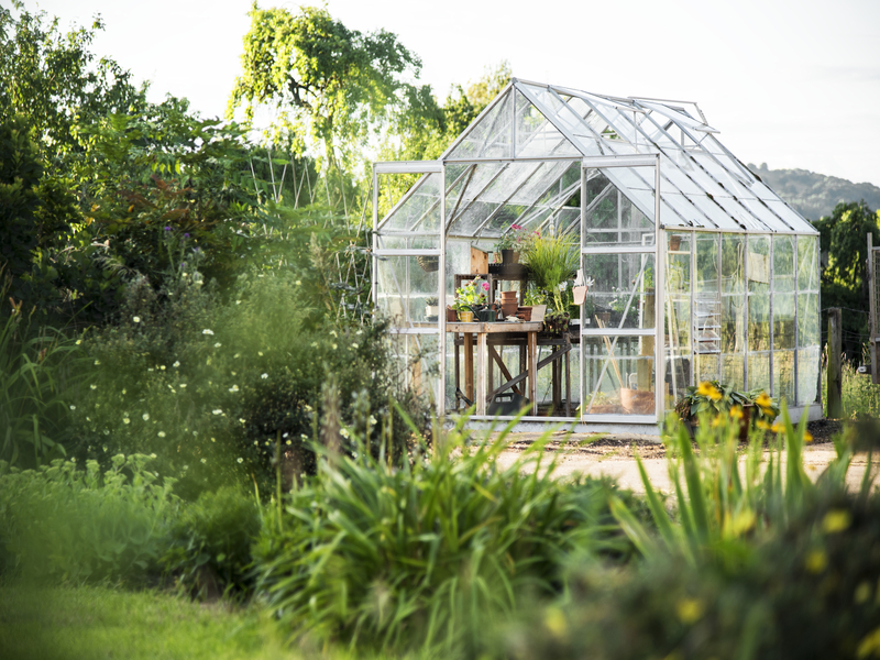 Usaha Pertanian Greenhouse Modern