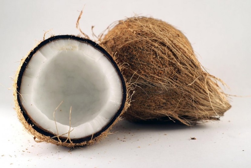 mesin pengolahan kelapa modern