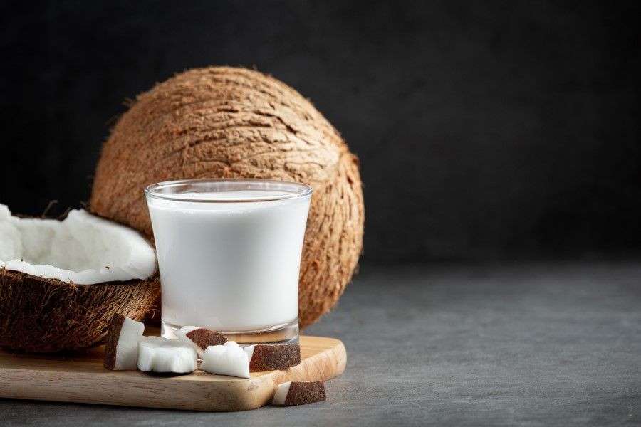 peralatan produksi tepung kelapa