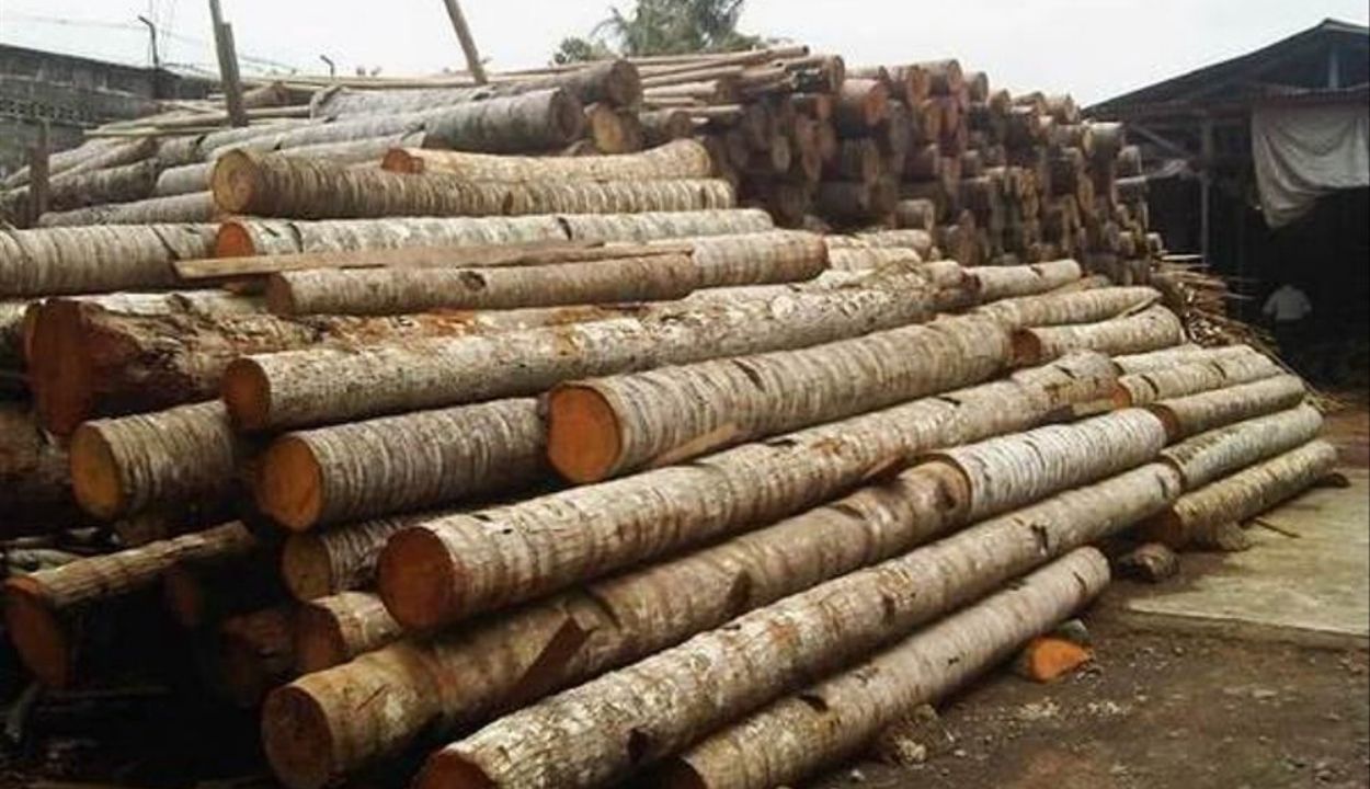 hammer mill kayu keras