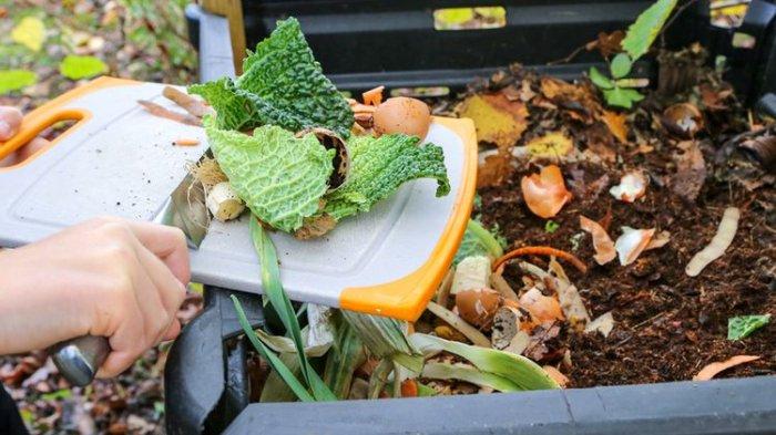 pemanfaatan limbah makanan sebagai kompos sekolah