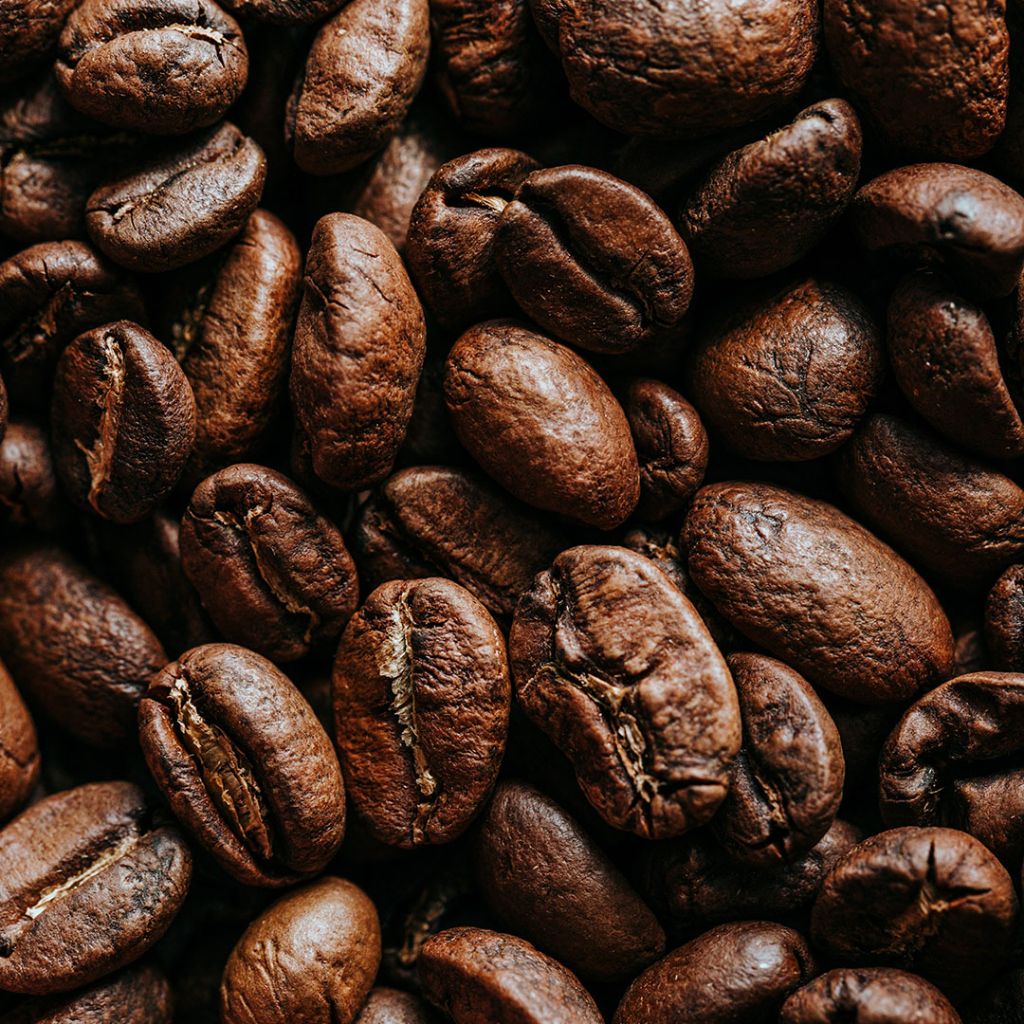 sangrai kopi dengan mesin