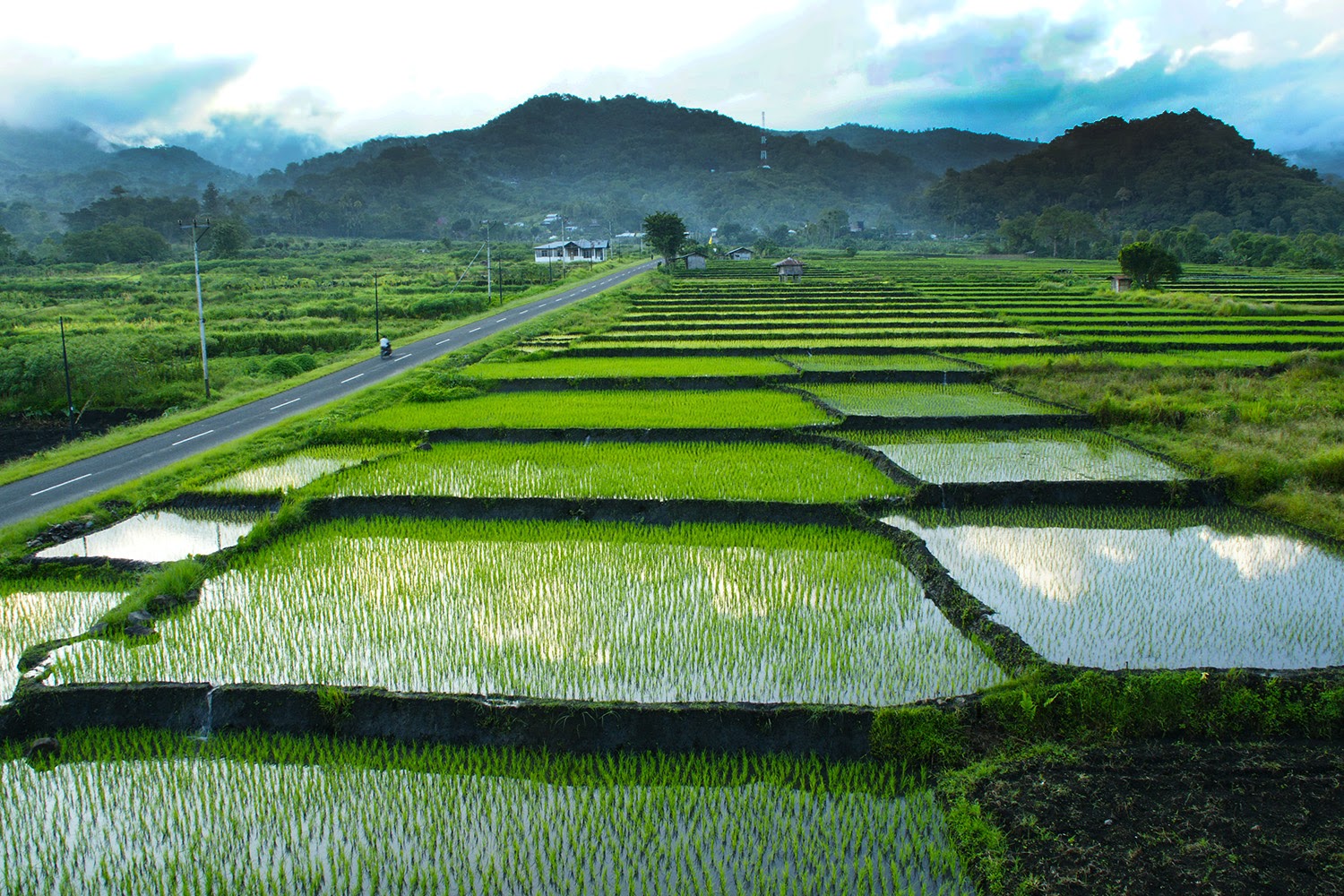 traktor mini pembajak lahan