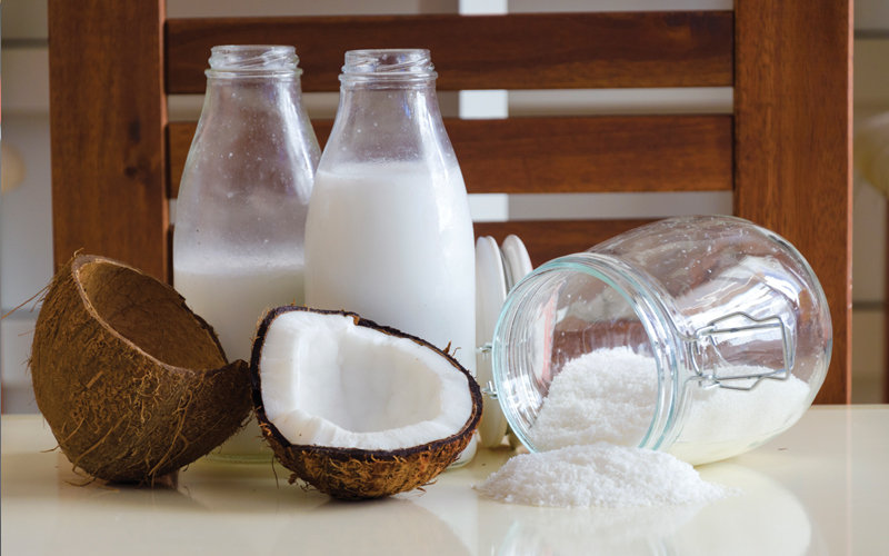 parutan kelapa listrik cepat