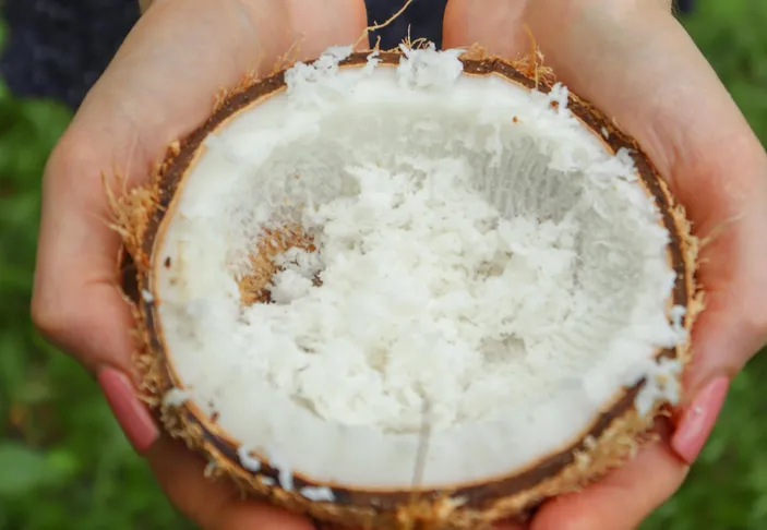 mesin parut kelapa kapasitas besar
