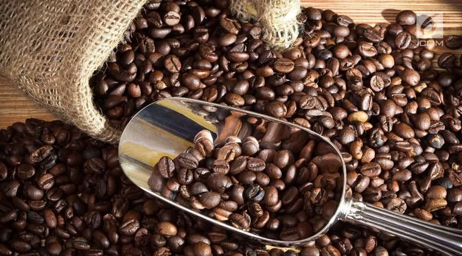 alat pengolahan kopi basah