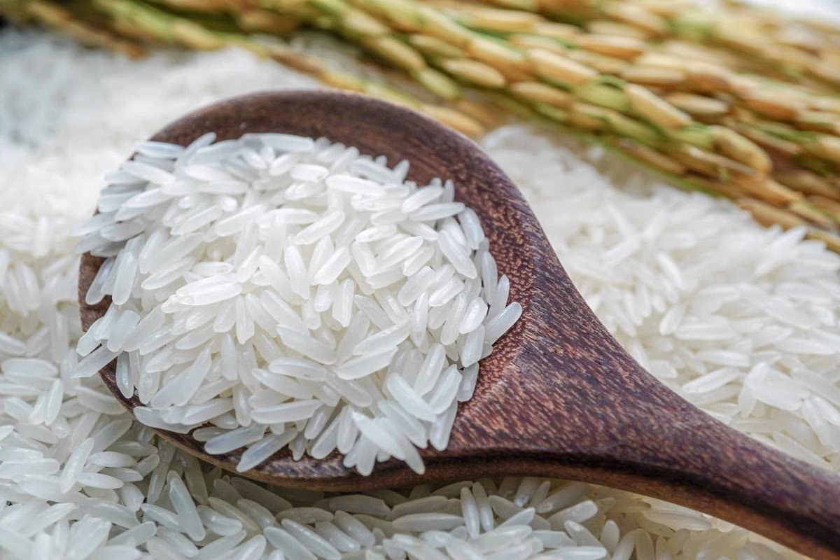 fungsi pemolesan beras modern