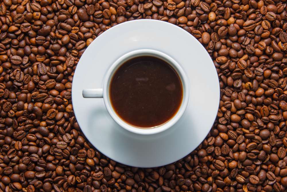 Peralatan Usaha Kopi Pemula