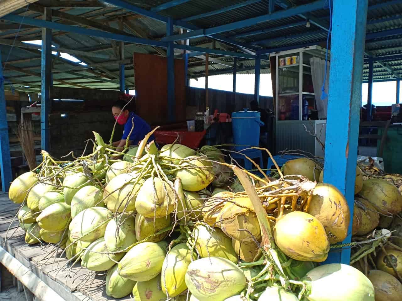 cara memilih degan segar di pasar
