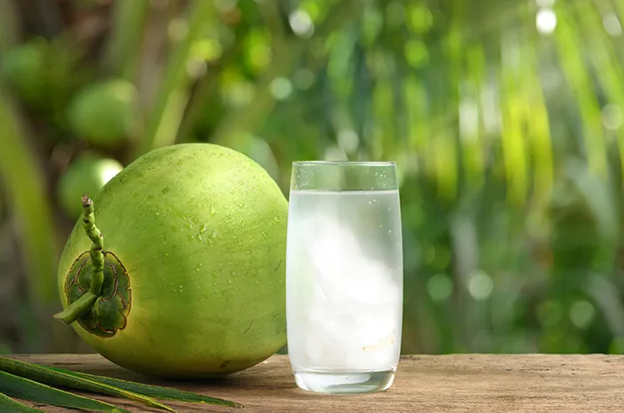 Modal Usaha Es Kelapa Terjangkau