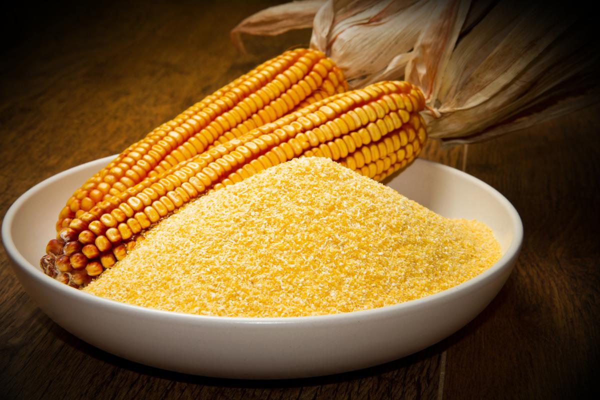 Cara Halus Gilingan Jagung Untuk Ternak Agar Hasil Maksimal
