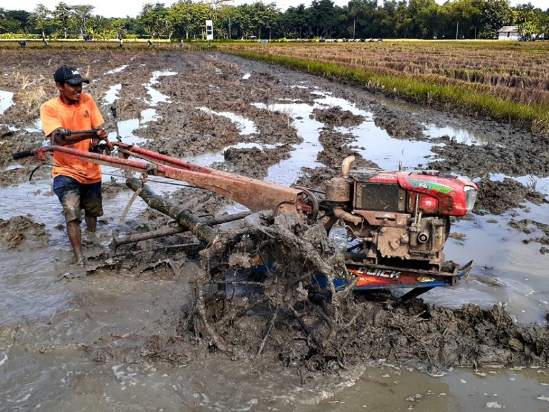 perawatan mesin hand tractor setelah digunakan